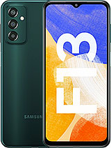 Samsung F13
